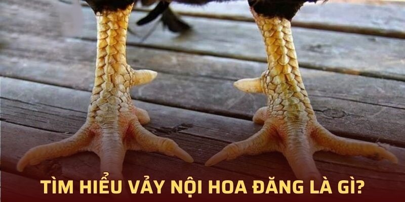 Vảy Nội Hoa Đăng là được coi là dấu hiệu nhận biết thần kê